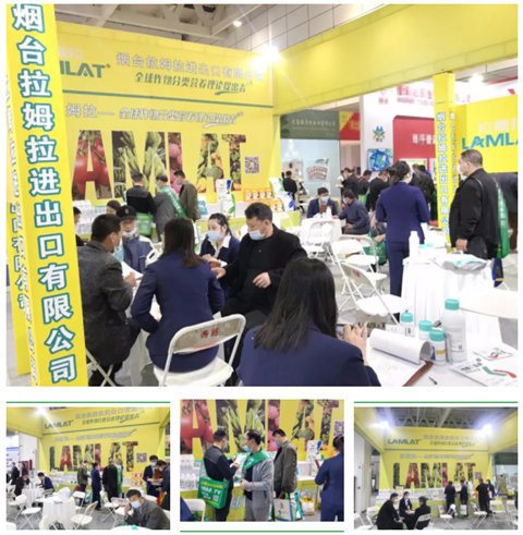 水溶肥，拉姆拉，翠姆