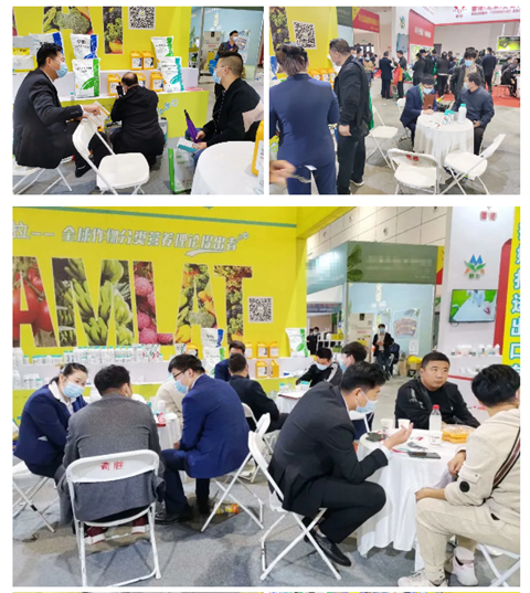 水溶肥，拉姆拉，翠姆