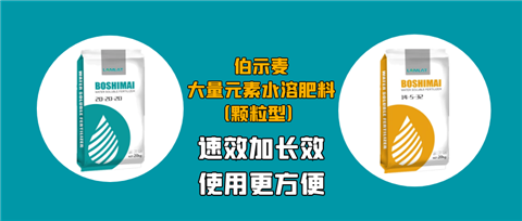顆粒肥，拉姆拉，翠姆