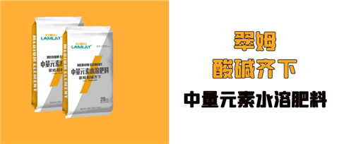 水溶肥，拉姆拉，翠姆